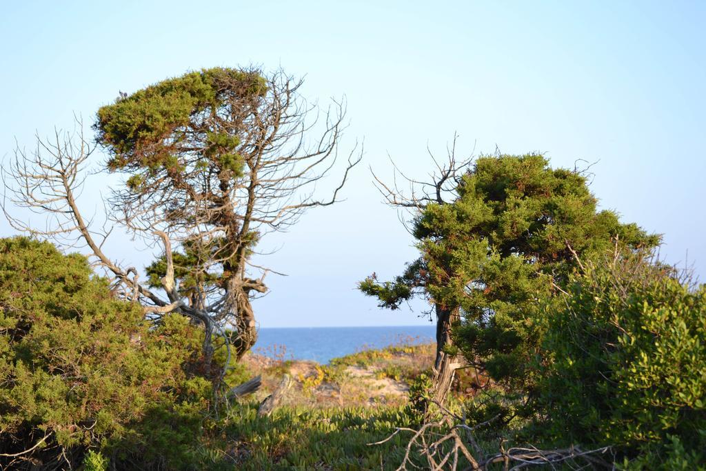 Mimose Badesi